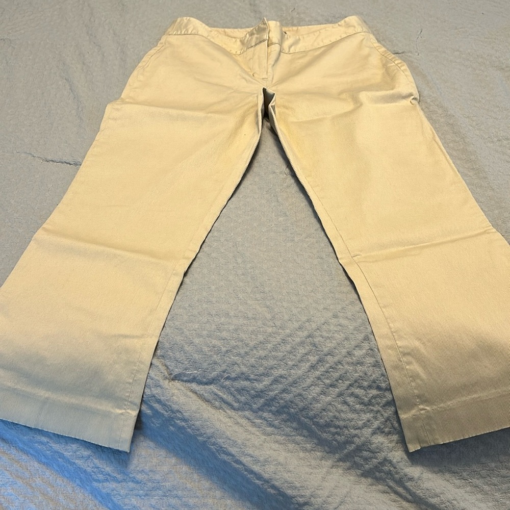 Express Editor Pants - capri length